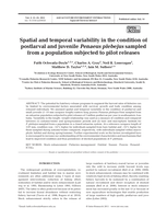 Spatial and temporal variability in the condition of postlarval and juvenile Penaeus plebejus sampled from a population subjected to pilot releases