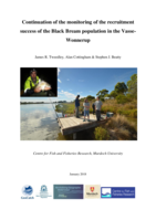 Continuation of the monitoring of the recruitment success of the Black Bream population in the Vasse-Wonnerup