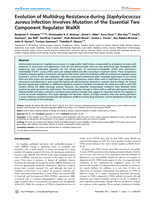 Evolution of multidrug resistance during staphylococcus aureus infection involves mutation of the essential two component regulator WalKR