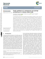 Facile synthesis of a nanoporous sea sponge architecture in a binary metal oxide