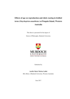 Effects of age on reproduction and chick rearing in bridled terns (Onychoprion anaethetus) at Penguin Island, Western Australia