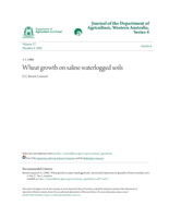 Wheat growth on saline waterlogged soils