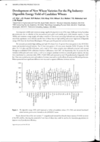 Development of new wheat varieties for the pig industry: digestible energy yield of candidate wheats