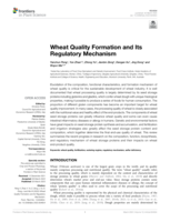 Wheat quality formation and its regulatory mechanism