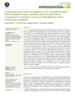 Evaluating conservation strategies for the endangered daisy Schoenia filifolia subsp. subulifolia (Asteraceae): fitness consequences of genetic rescue and hybridisation with a widespread subspecies
