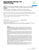 Male mice with deleted Wolframin (Wfs1) gene have reduced fertility