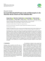 Increased mitochondrial protein levels and bioenergetics in the musculus rectus femoris of Wfs1-deficient mice