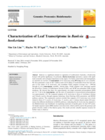 Characterization of leaf transcriptome in Banksia hookeriana