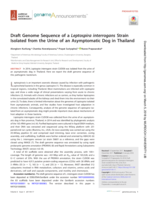Draft genome sequence of a Leptospira interrogans strain isolated from the urine of an asymptomatic dog in Thailand