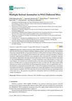 Multiple Retinal Anomalies in Wfs1-Deficient Mice