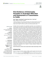 First evidence of Entamoeba parasites in Australian Wild Deer and assessment of transmission to cattle