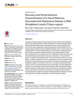 Discovery and partial genomic characterisation of a novel nidovirus associated with respiratory disease in wild shingleback lizards (Tiliqua rugosa)