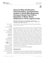 Genome-Wide identification, characterization, and expression analysis of small RNA biogenesis purveyors reveal their role in regulation of biotic stress responses in three legume crops