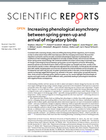 Increasing phenological asynchrony between spring green-up and arrival of migratory birds
