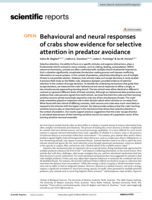 Behavioural and neural responses of crabs show evidence for selective attention in predator avoidance