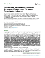 Genome-wide SNP genotyping resolves signatures of selection and tetrasomic recombination in peanut