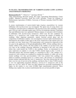 In planta transformation of narrow-leafed lupin (Lupinus angustifolius) seedlings