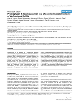 Proteoglycan 4 downregulation in a sheep meniscectomy model of early osteoarthritis