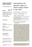 Depth-dependent dive kinematics suggest cost-efficient foraging strategies by tiger sharks