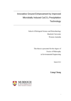 Innovative ground enhancement by improved microbially induced CaCO3 precipitation technology