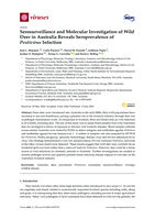 Serosurveillance and molecular investigation of wild deer in Australia reveals seroprevalence of Pestivirus Infection