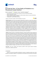 Cat Gets Its Tern: A case study of predation on a threatened coastal seabird