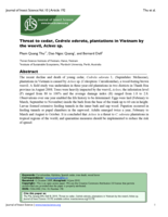 Threat to cedar, Cedrela odorata, plantations in Vietnam by the weevil, Aclees sp