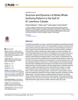Structure and dynamics of minke whale surfacing patterns in the gulf of St. Lawrence, Canada