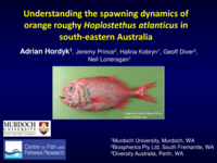 Understanding the spawning dynamics of orange roughy, Hoplostethus atlanticus, in south-eastern Australia