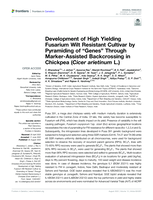 Development of High Yielding Fusarium Wilt Resistant Cultivar by Pyramiding of “Genes” Through Marker-Assisted Backcrossing in Chickpea (Cicer arietinum L.)