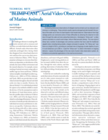 “Blimp-cam”: Aerial video observations of marine animals