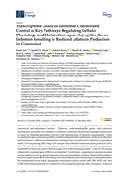 Transcriptome analysis identified coordinated control of key pathways regulating cellular physiology and metabolism upon Aspergillus flavus infection resulting in reduced aflatoxin production in groundnut