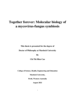 Together forever: Molecular biology of a mycovirus-fungus symbiosis