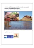 Fishes in groundwater dependent pools of the Fortescue and Yule Rivers; Pilbara, Western Australia