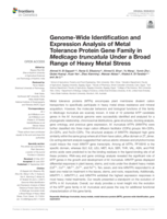 Genome-Wide identification and expression analysis of metal tolerance protein gene family in Medicago truncatula under a broad range of heavy metal stress