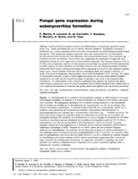 Fungal gene expression during ectomycorrhiza formation