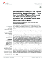 Microalgae and Phototrophic Purple Bacteria for Nutrient Recovery From Agri-Industrial Effluents: Influences on Plant Growth, Rhizosphere Bacteria, and Putative Carbon- and Nitrogen-Cycling Genes