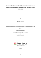 Characterization of TaNAC-S gene in Australian wheat cultivars in relation to senescence and nitrogen stress response
