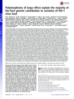 Polymorphisms of large effect explain the majority of the host genetic contribution to variation of HIV-1 virus load