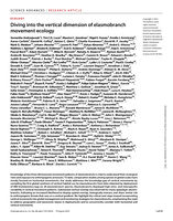 Diving into the vertical dimension of elasmobranch movement ecology