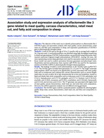Association study and expression analysis of olfactomedin like 3 gene related to meat quality, carcass characteristics, retail meat cut, and fatty acid composition in sheep
