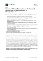 Current and future perspectives on the structural identification of small molecules in biological systems