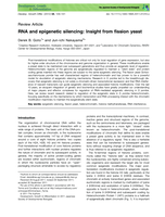 RNA and epigenetic silencing: Insight from fission yeast