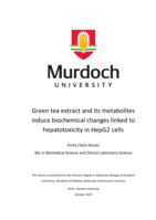 Green tea extract and its metabolites induce biochemical changes linked to hepatotoxicity in HepG2 cells