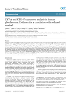 CYPA and CD147 expression analysis in human glioblastoma: Evidence for a correlation with reduced survival