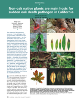 Non-oak native plants are main hosts for sudden oak death pathogen in California