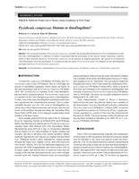 Pyxidicula compressa: Diatom or dinoflagellate?