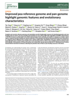 Improved pea reference genome and pan-genome highlight genomic features and evolutionary characteristics