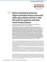 Splice modulating antisense oligonucleotides restore some acid-alpha-glucosidase activity in cells derived from patients with late-onset Pompe disease