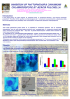 Inhibition of Phytophthora cinnamomi chlamydospore by Acacia pulchella
